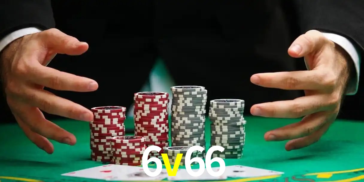 6v66