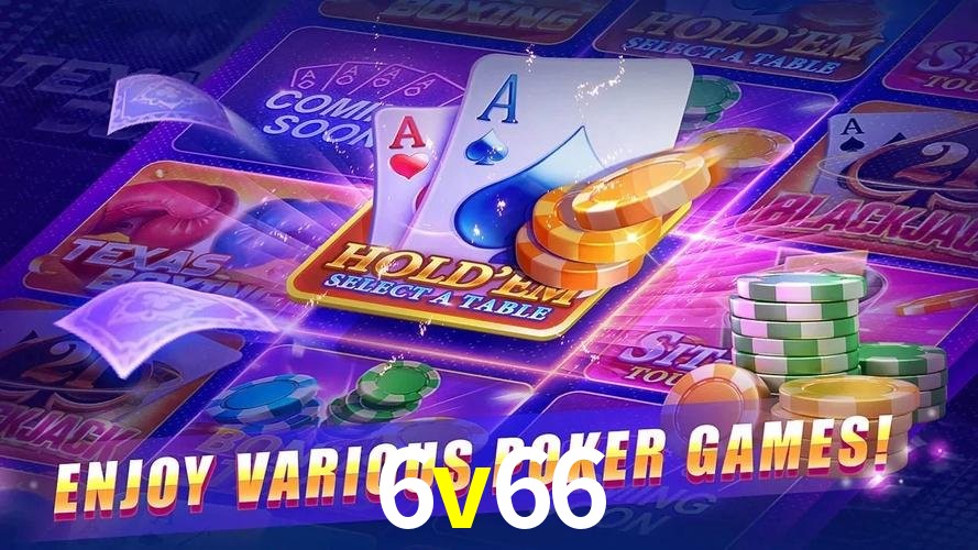 6v66.com